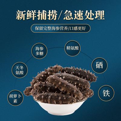 启鲜岛海参1288型（淡干型）