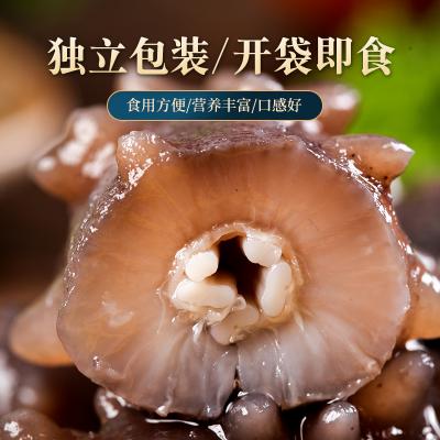 启鲜岛海参738型（即食型）