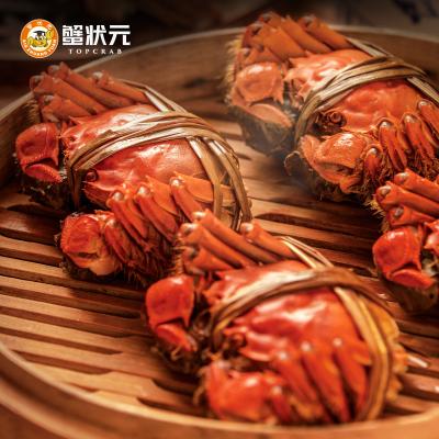 蟹状元大闸蟹3888型提货卡8只装F套餐
