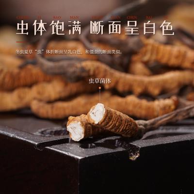 胡庆余堂冬虫夏草礼盒5g#4000皮质礼盒装送人用约20根